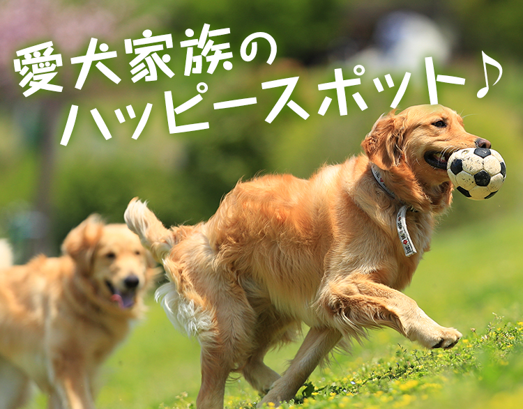 愛犬家族のハッピースポット